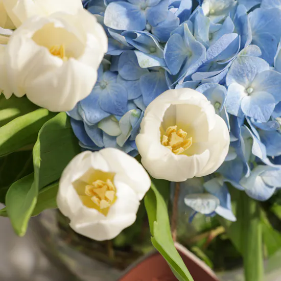 Swiss Military Bruno Briefcase Navy | White Tulip