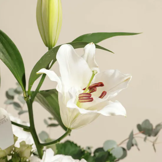 Celestial White Harmony Flowers Vase By September Studio