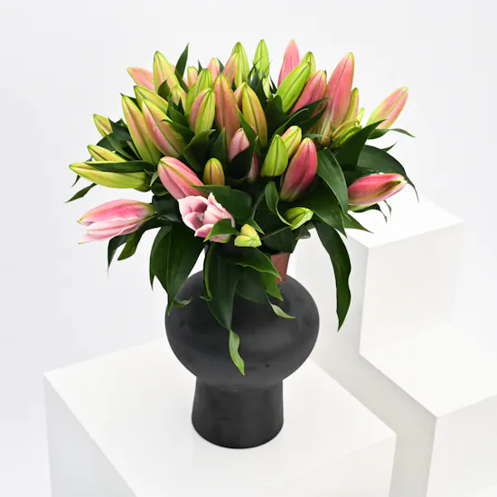 Pink Lilies | Black Vase