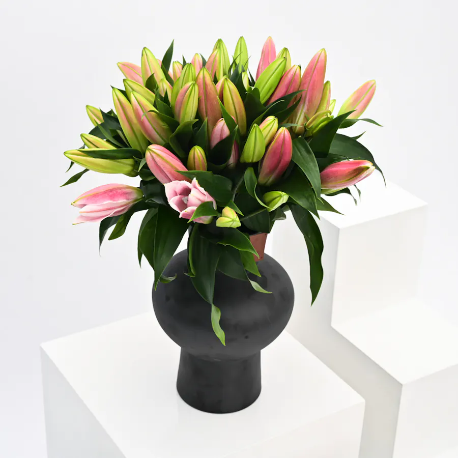 Pink Lilies | Black Vase 4