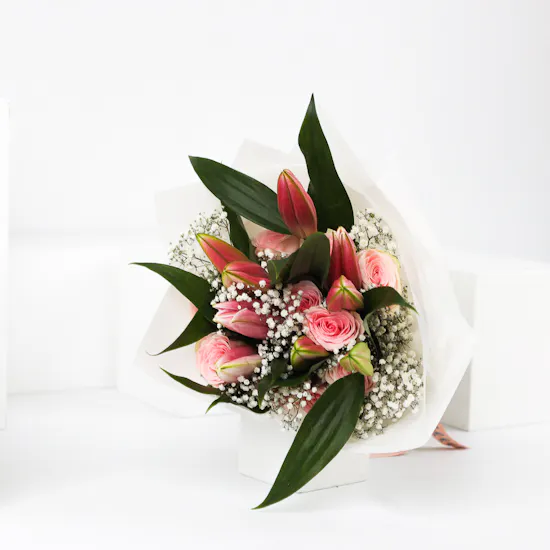 Blush Allure | White Wrap
