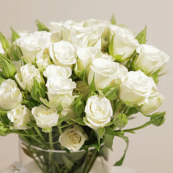Bostani Chocolate White Signature Box | Charming Flower Vase