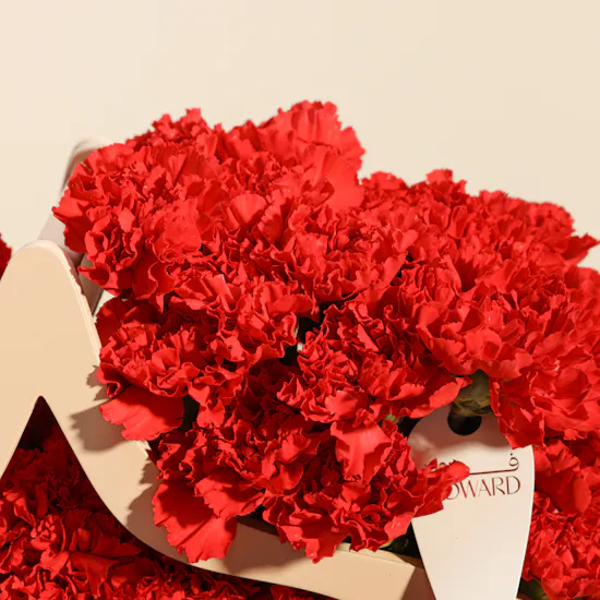Radiant Romance Flowers Arrangement