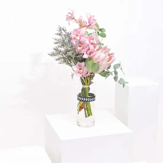 Peace Cymbedium | Glass Vase