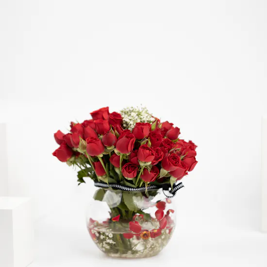 Adoration | 20 Baby Roses