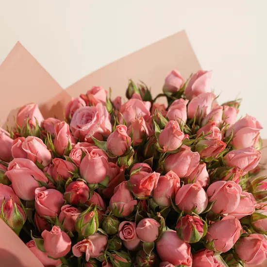Delicate Baby Roses Bouquet | 25 Flowers