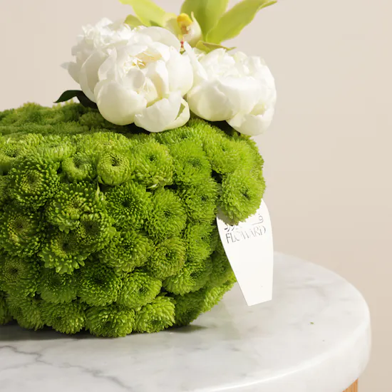 Peony Silk Garden