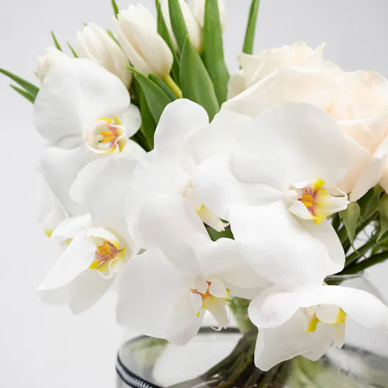 Gorgeous White | Glass Vase