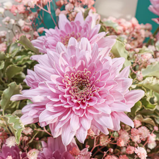 Shiny Pink Chrysanthemum Bouquet