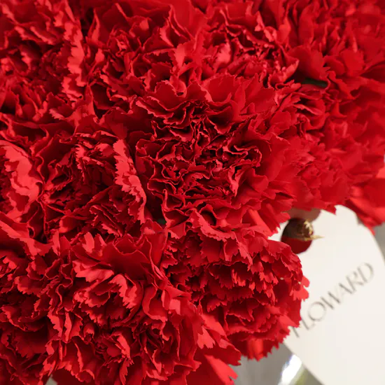 Romantic Red Carnations Vase