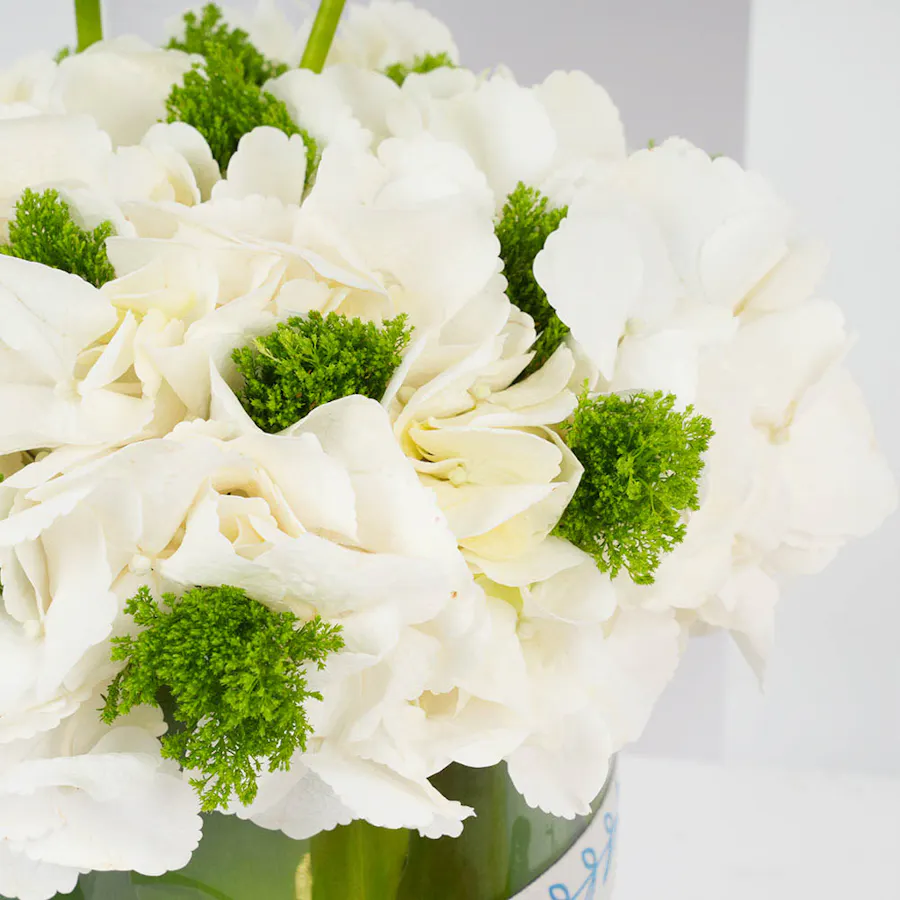 Laviviane Mille Feuille Bites Big Box | Spring Vase 3