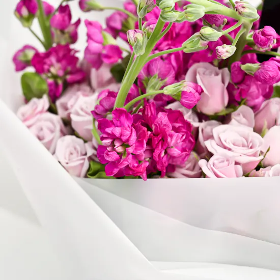 Graduation bouquet Fuchsia Matthiola & Purple Baby Roses