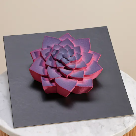 Dinara Kasko Succulent Cake