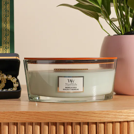 Floward Mestika Misbaha | Holy Quran and Woodwick Scented Candle with Plant