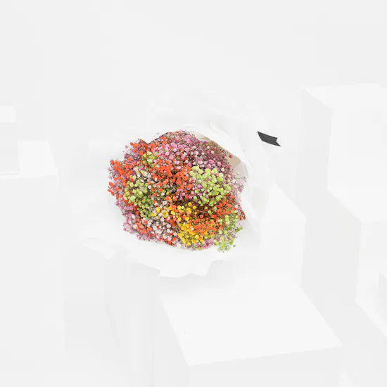 Rainbow Gypsophila Bouquet