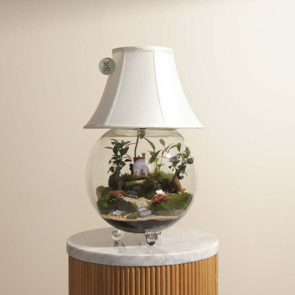 مصباح الحديقة الساحرة | تيراريوم مغلق