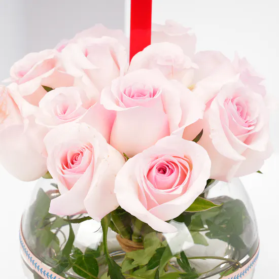 Light Pink Roses | Glass Vase