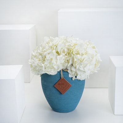 White Hydrangea | Pottery Vase