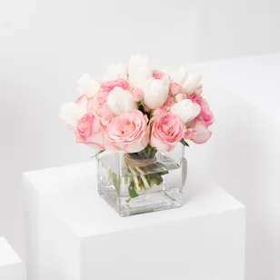 Cuteness Overload | Vase Cuteness Overload | Vase