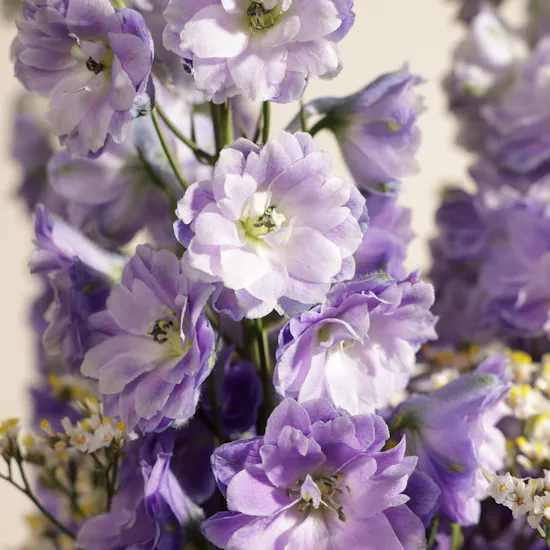 Whispering Petals Flower Vase