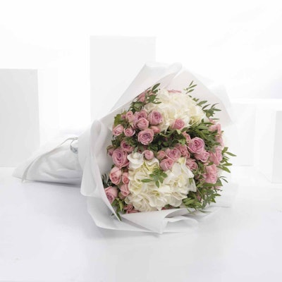 A mixture of cuteness by Yasir Alsaggaf | 24 Flower