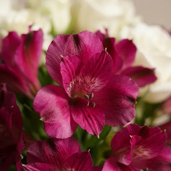 Pure Delight Flowers Vase