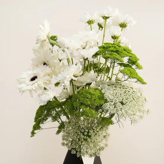 Graden Paradise White Gerbera Vase