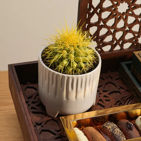 The Essence of Ramadan Luxury Tray