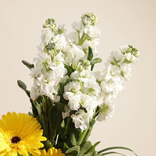 Her Own Story Flower Vase