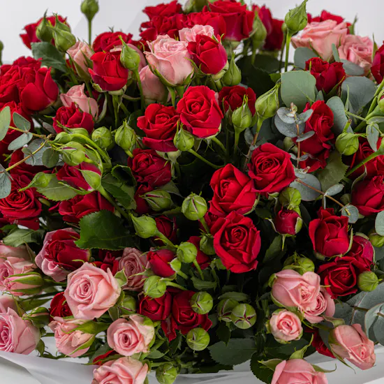 Floral Passion