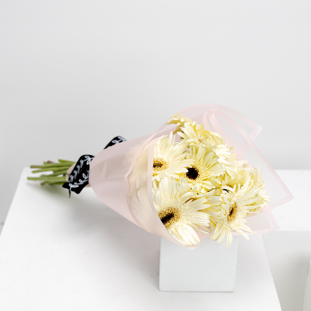 15 جربرة بيضاء | وردي