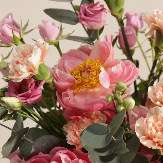 Peony Script Garden Box