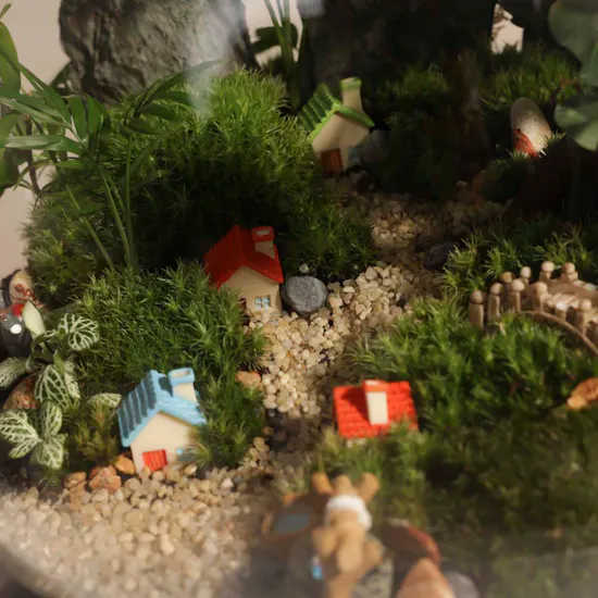 Small Town Terrarium Vase