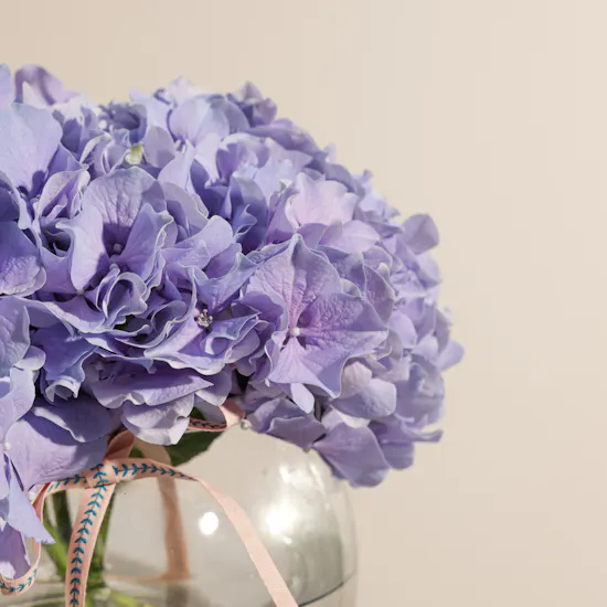 Purple Hydrangea Vase