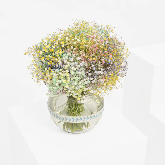 Calming Gypsophila | Vase