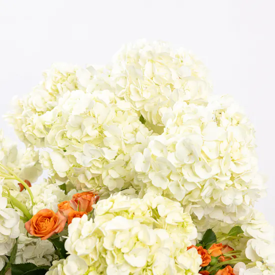Paradox in Flowers