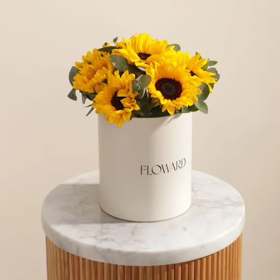 Fields of Light Sunflowers Box | 13 Flowers