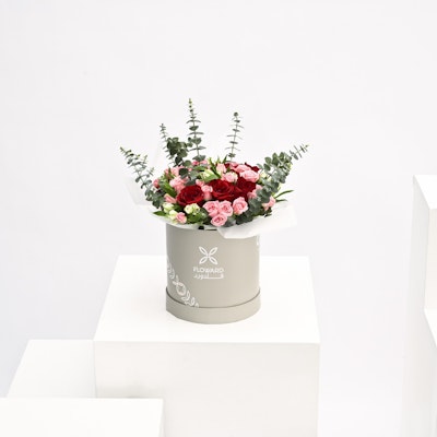 صندوق الأزهار المشرقة