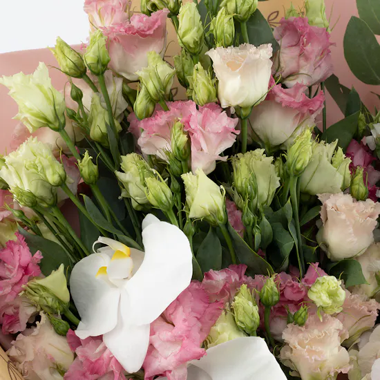 Blushing Serenity | Pink Wrap