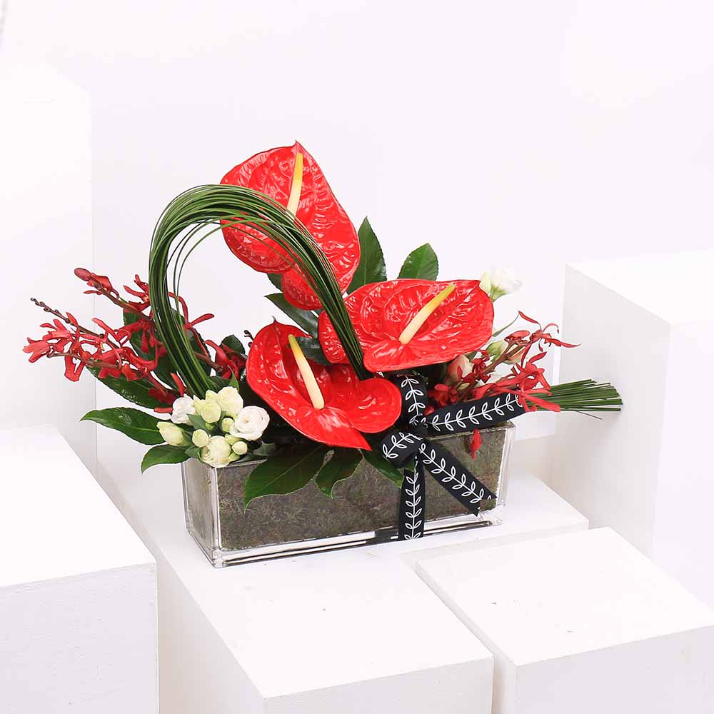 عمق الاحمر | مزهريه زجاج