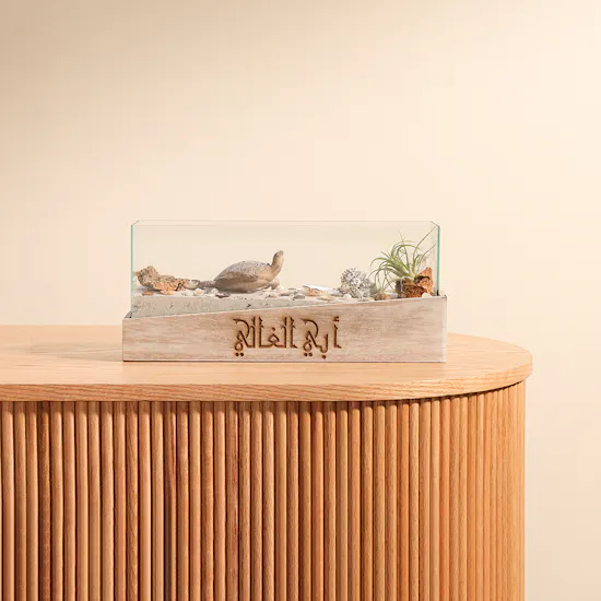 Beach Terrarium