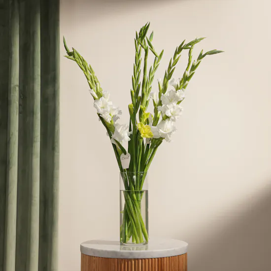 Bright Gladiolus Vase
