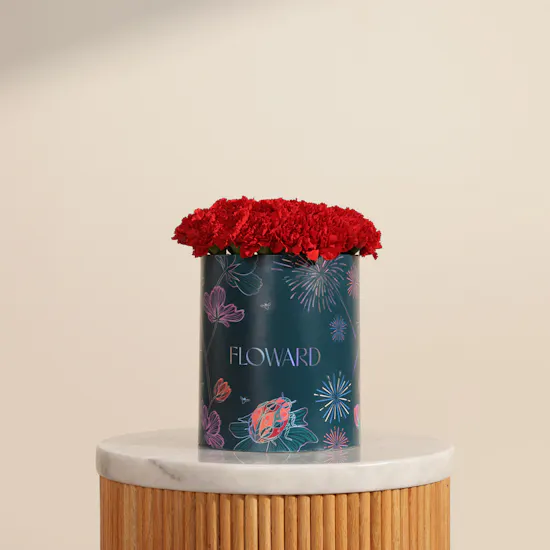 Romantic Red Carnation Box | 35 Flowers