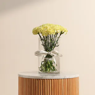 Shinny Yellow Carnation Vase