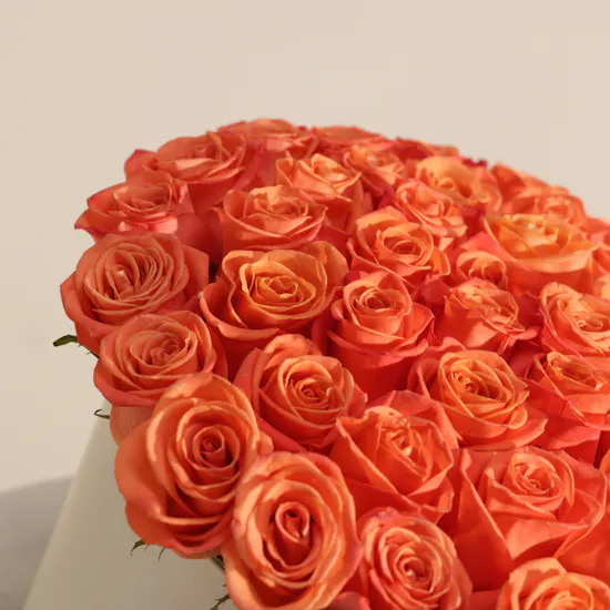 Sunlit Orange Rose Box | 55 Flowers