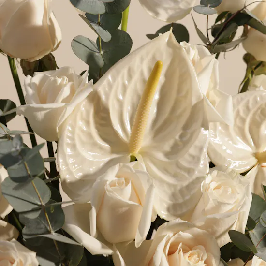 Pure Joy Flower Box