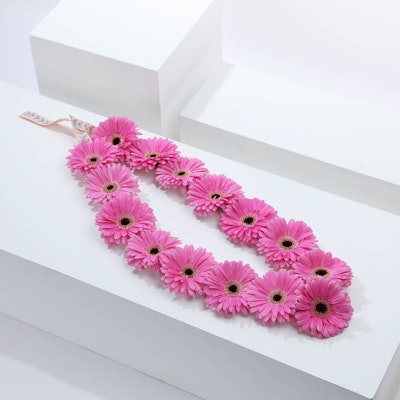 Pink Gerbera Necklace