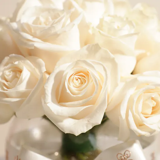 Sophisticated White Roses Vase | 25 Roses