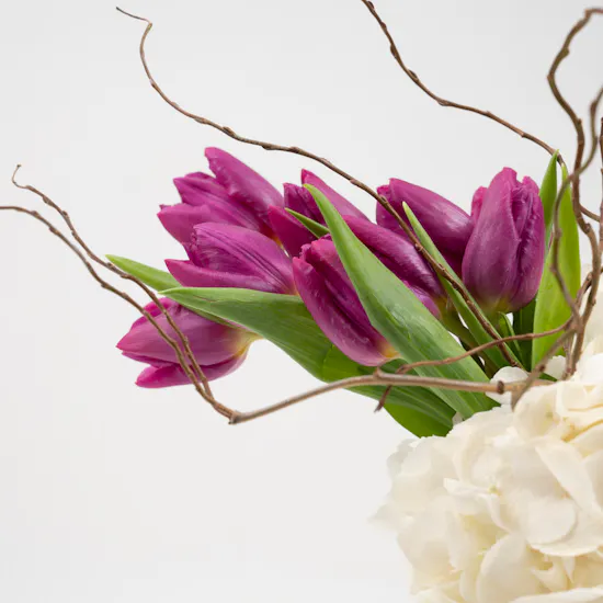 Sample of Cuteness | Glass Vase