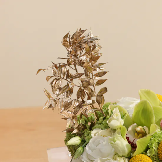 Abucci Luxury Chocolate Tray | Luxury Flowers